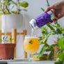 Get Low | Pale Ale w/ Rainy City Derby | 5.2% | 12-Pack