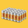 Phases Flow | Pale Ale | 5.5% | 24-Pack