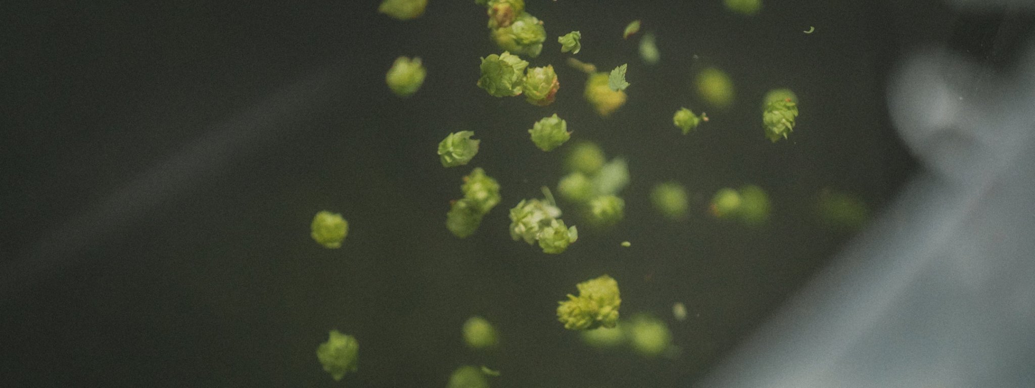 Brewer's Cut - Track Brewing Company Limited