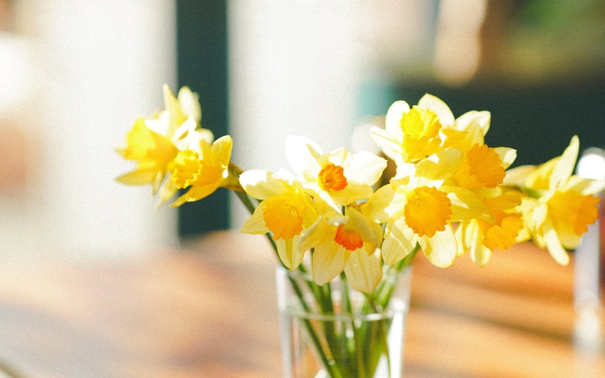 Spring: New Beginnings... - Track Brewing Company Limited