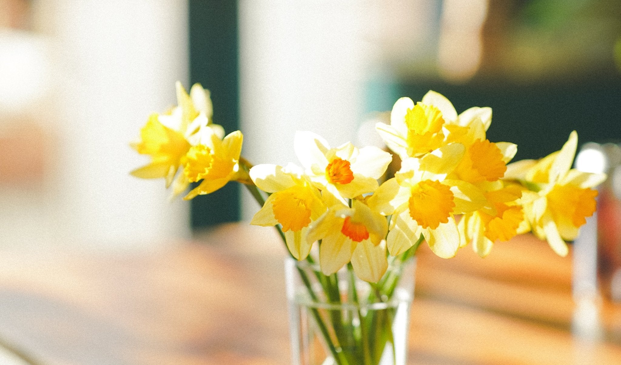 Spring: New Beginnings... - Track Brewing Company Limited