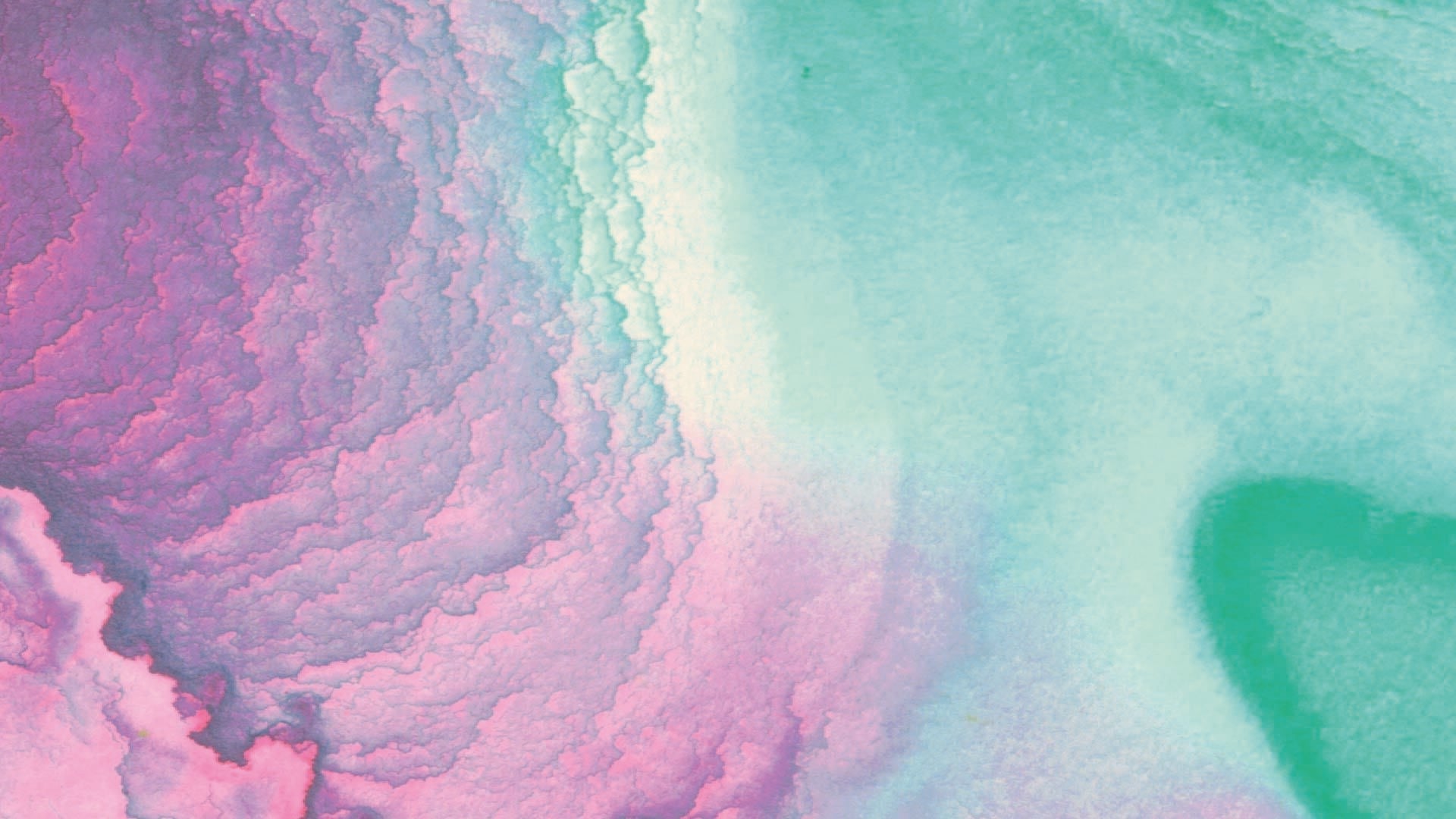 FORMS - 11th Birthday Collection - Track Brewing Company Limited