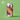 Between The Bars | Pale Ale w/ Riwaka & Mosaic | 5.0% - Track Brewing Company Limited