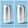 Gift Packs - Two Cans & A Wave Logo Pint Glass - Track Brewing Company Limited
