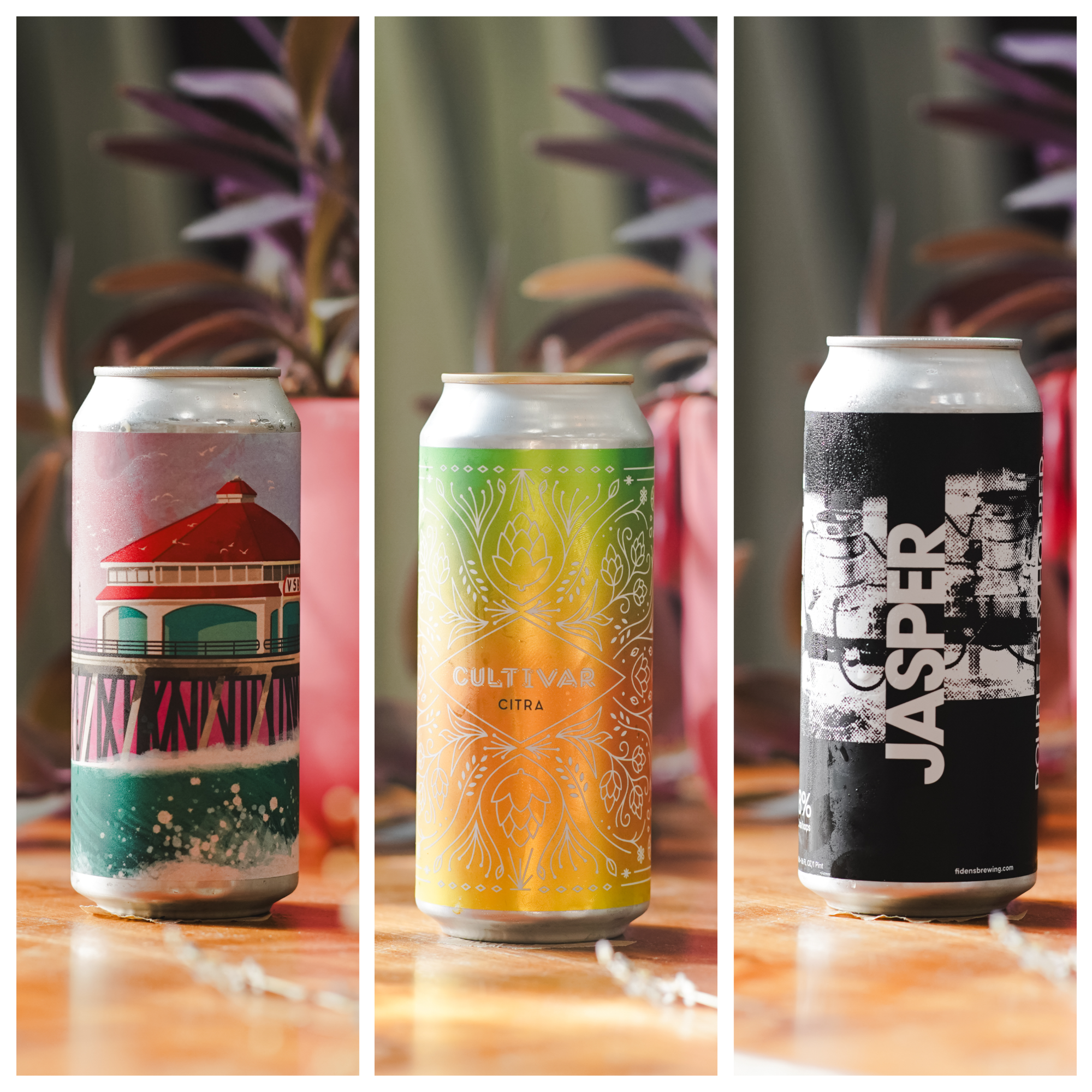 WTTN Haze Mixed 3-Pack - Option 1