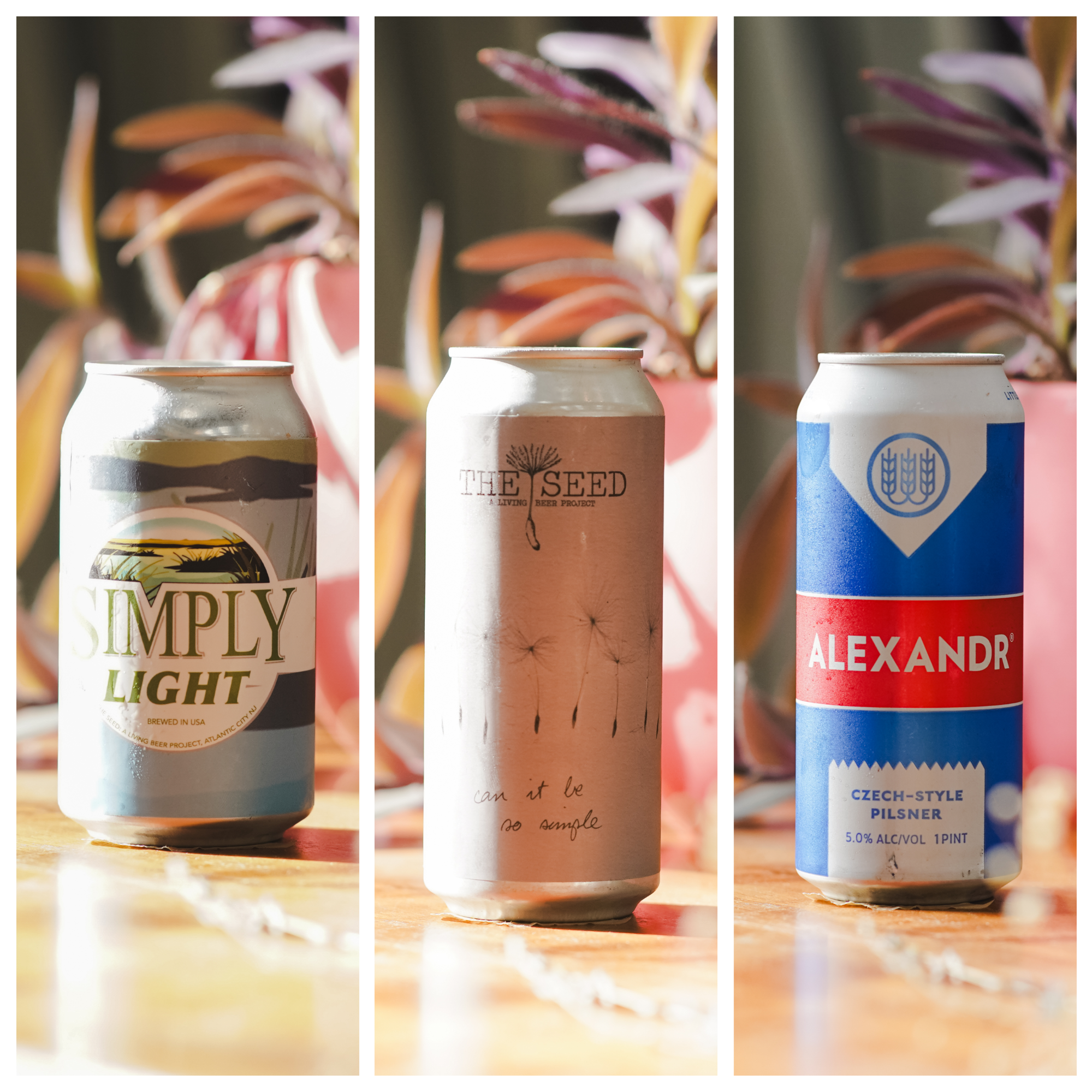 WTTN Lager Mixed 3-pack - Option 1
