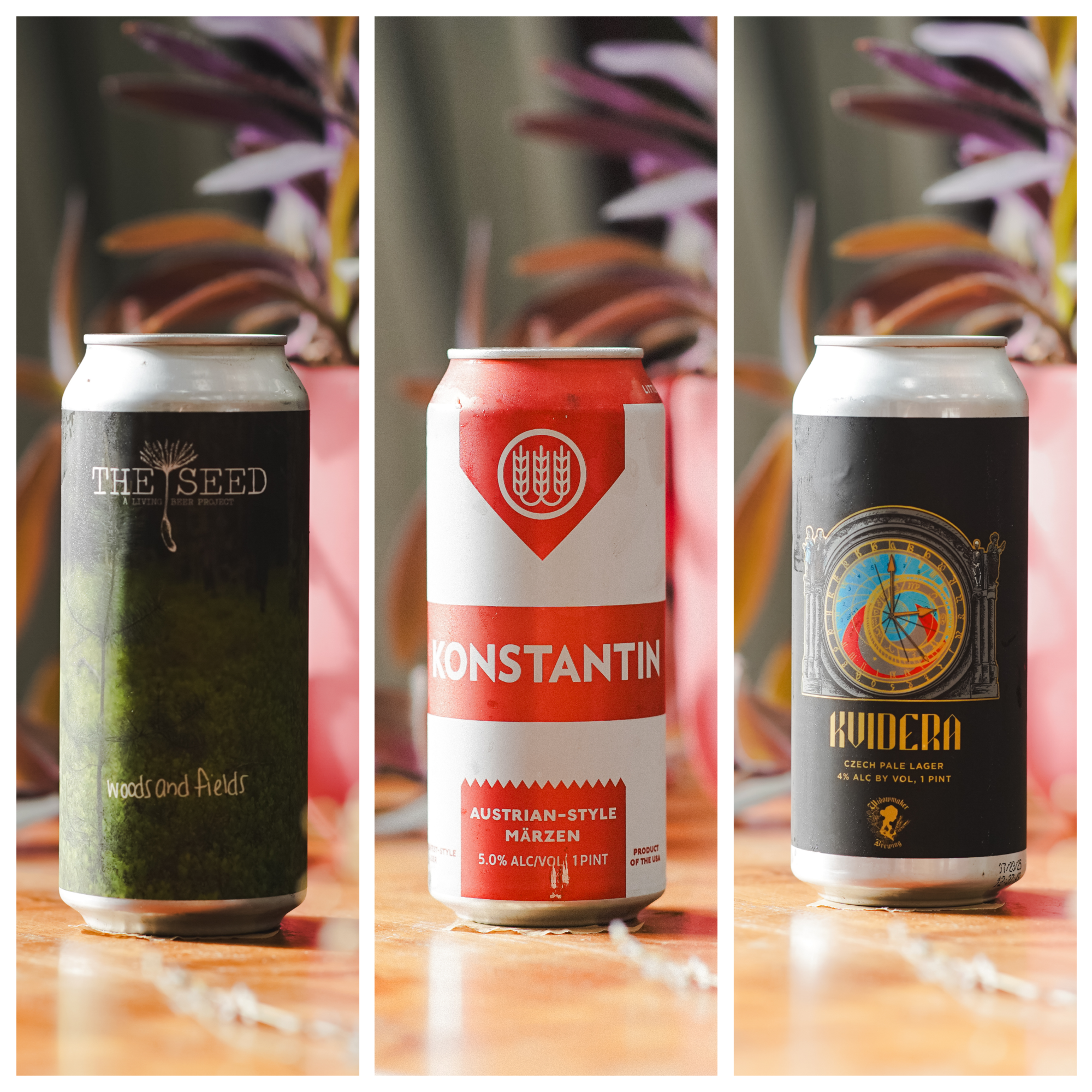 WTTN Lager Mixed 3-pack - Option 2