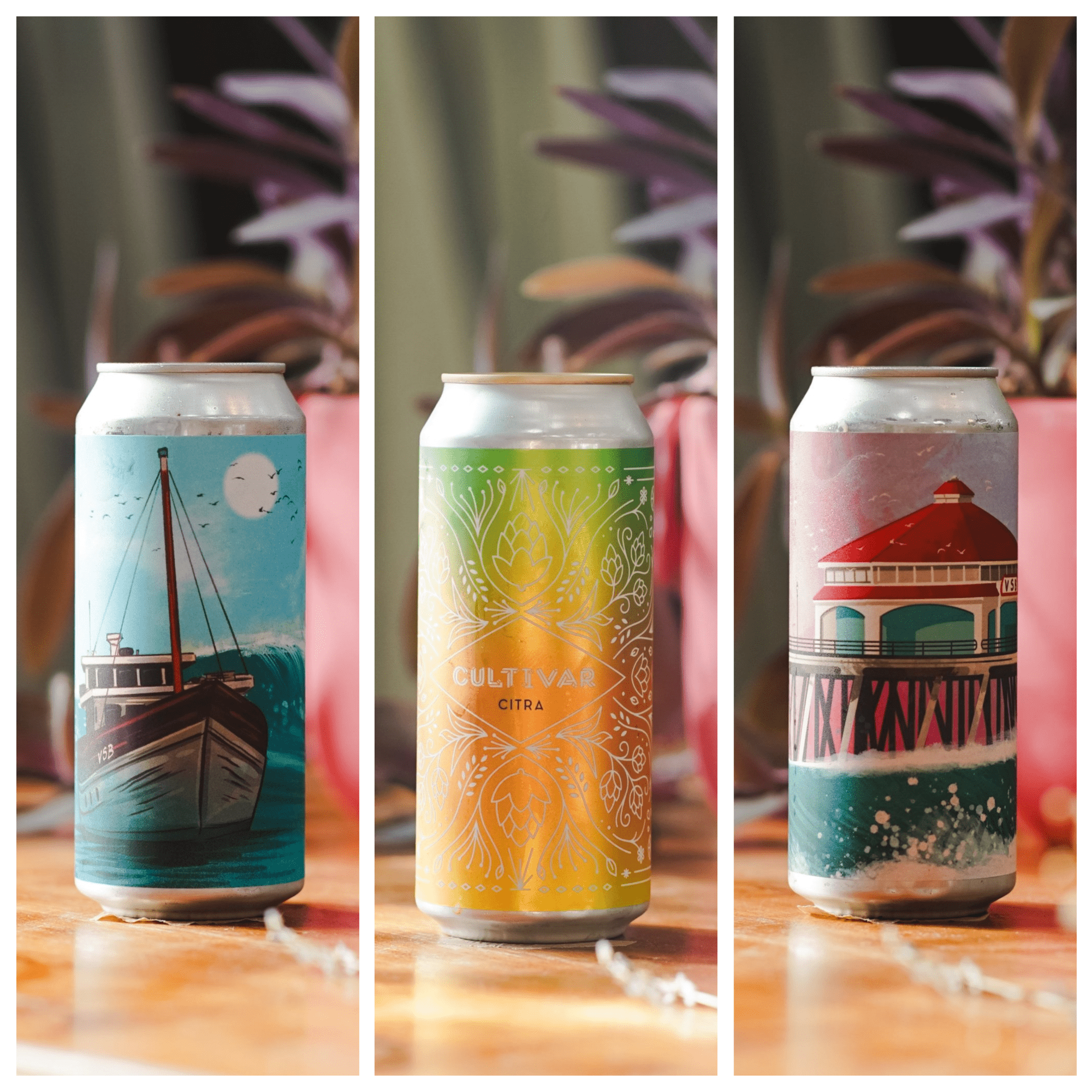 WTTN Haze Trio - Track Brewing Company Limited