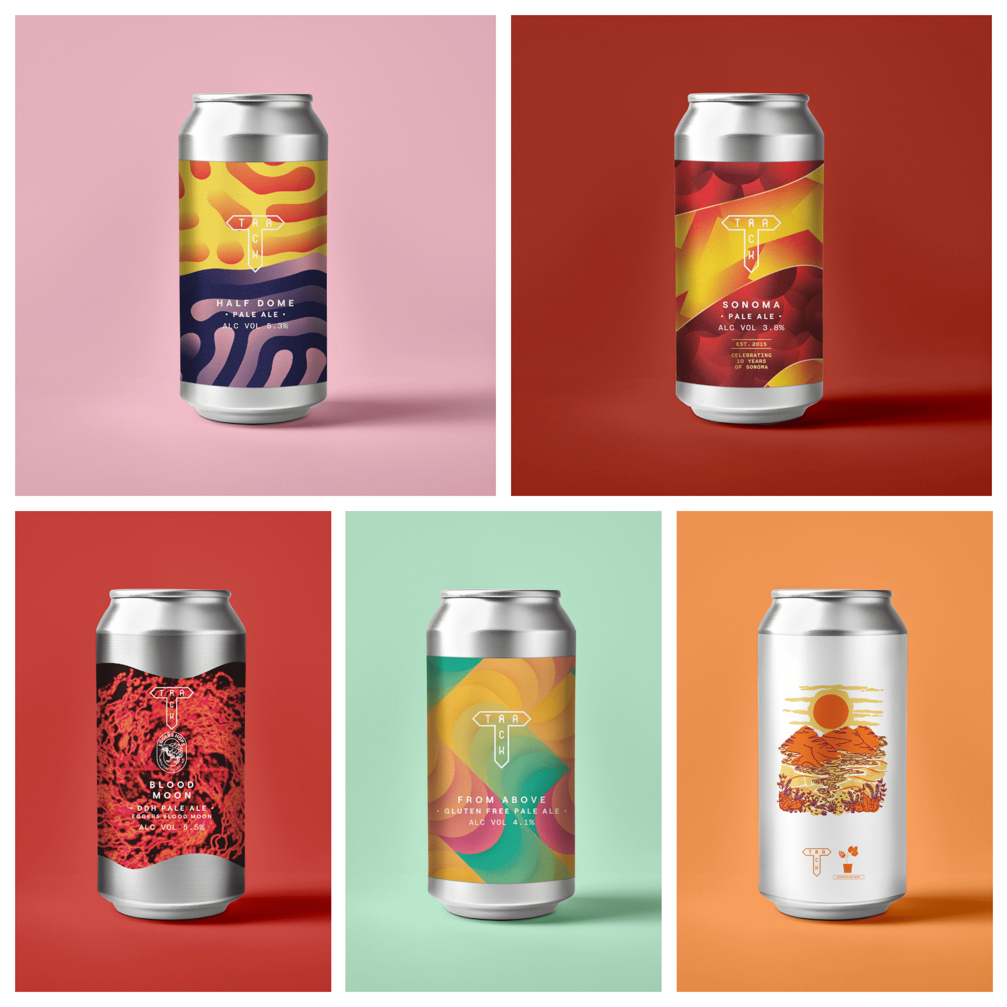 Ultimate Pale Ales Mixed 10 - Pack - Track Brewing Company Limited