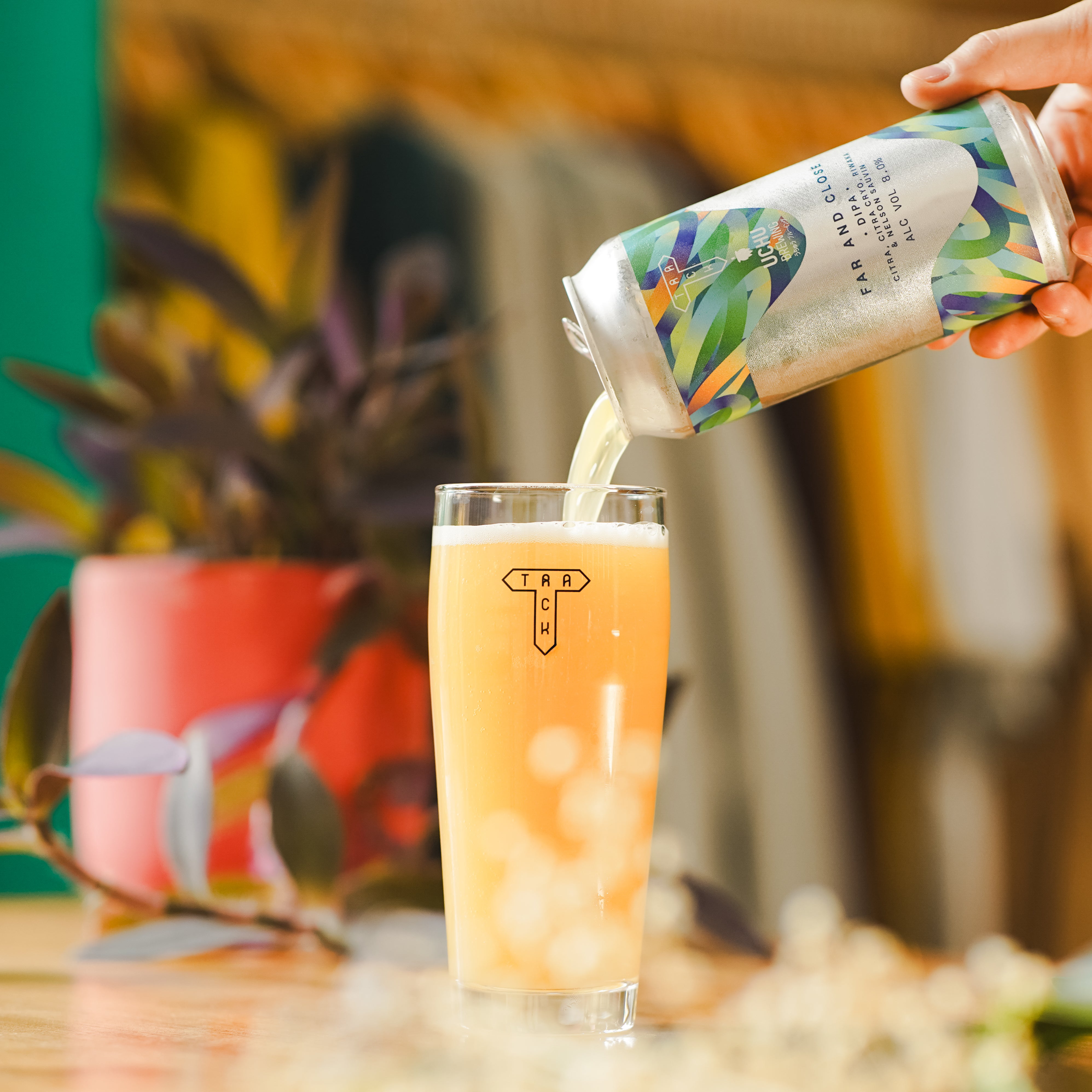 Fresh Drop Mixed 6-Pack