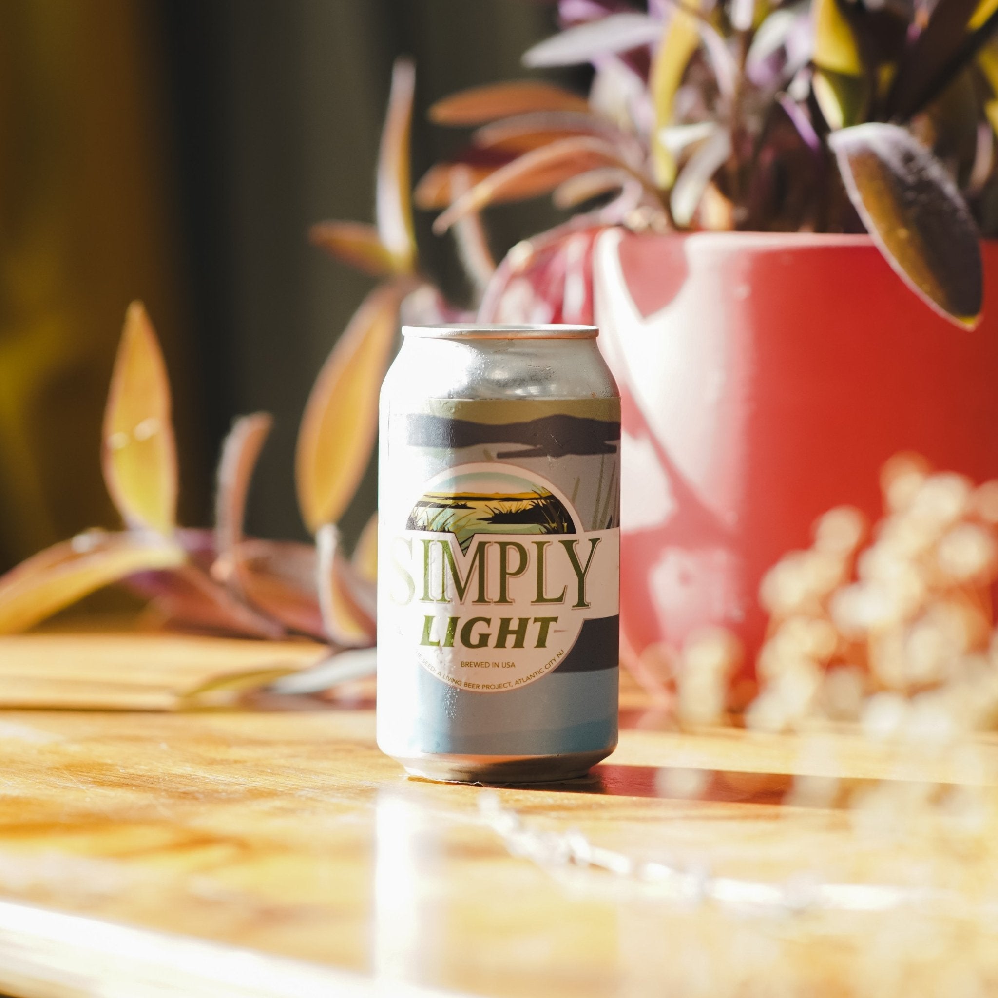 Simply Light | The Seed | American Light Lager | 4.2% - Track Brewing Company Limited