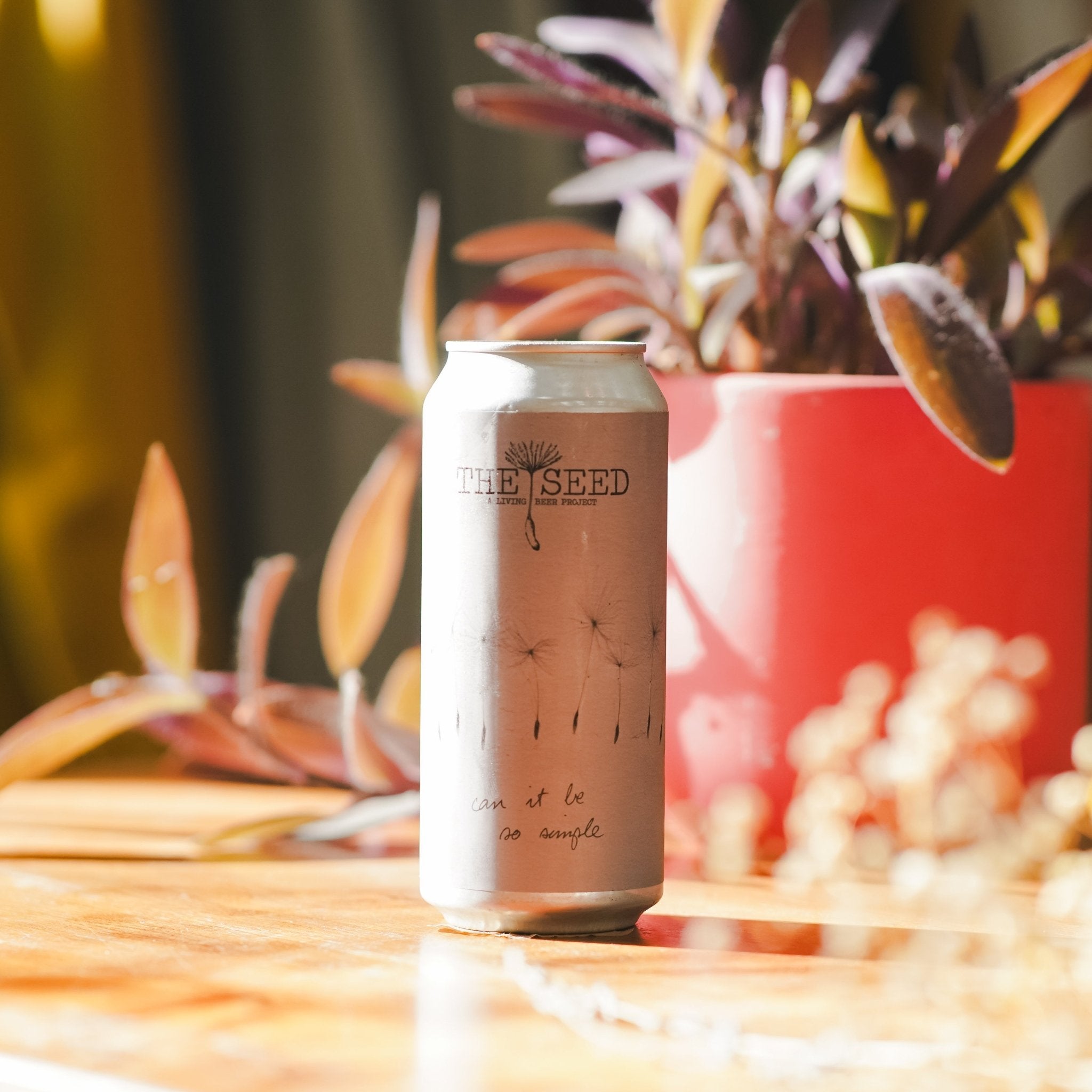 Can It Be So Simple | The Seed | Pale Lager | 5.4% - Track Brewing Company Limited