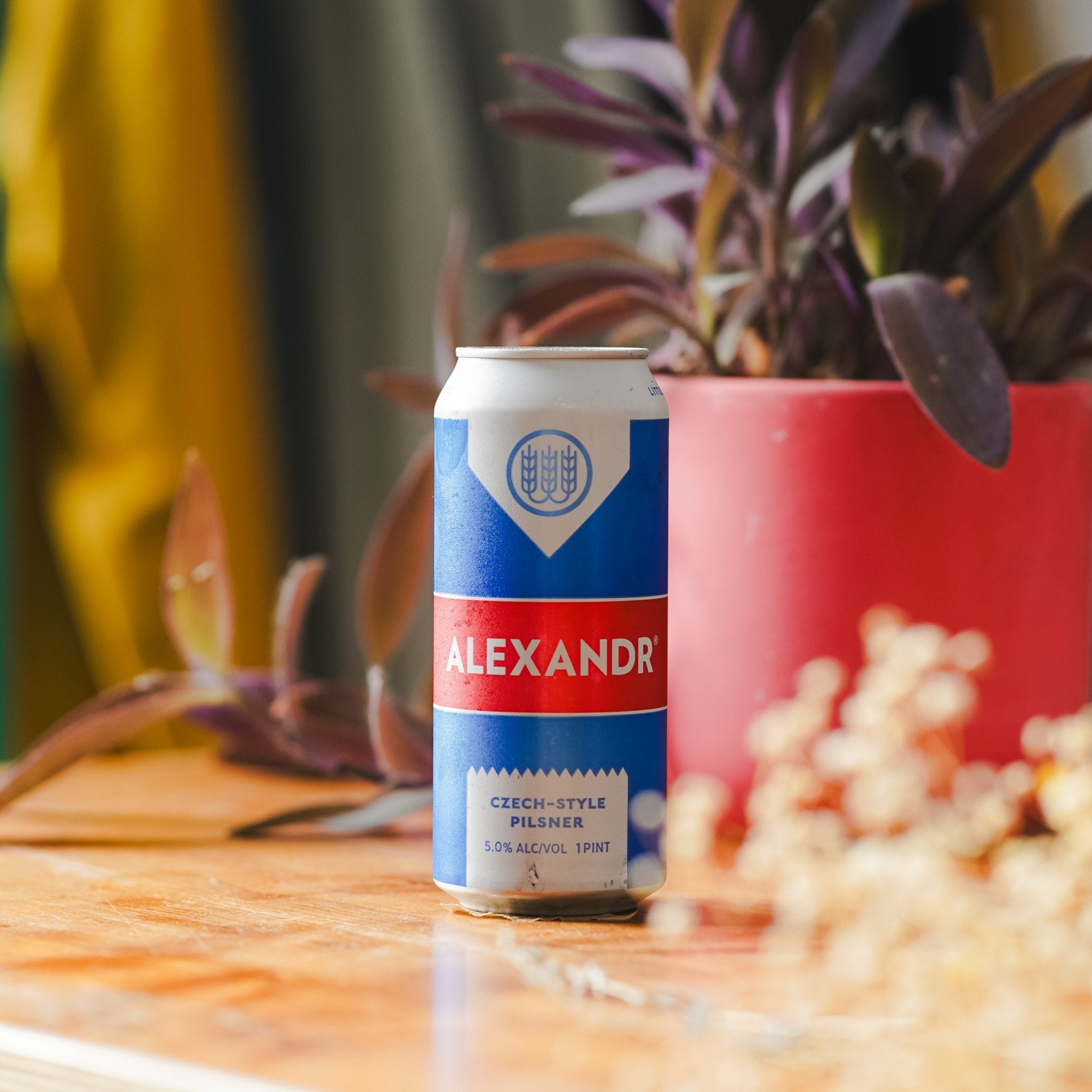 Alexandr | Schilling | Czech Style Pilsner | 5.0% - Track Brewing Company Limited