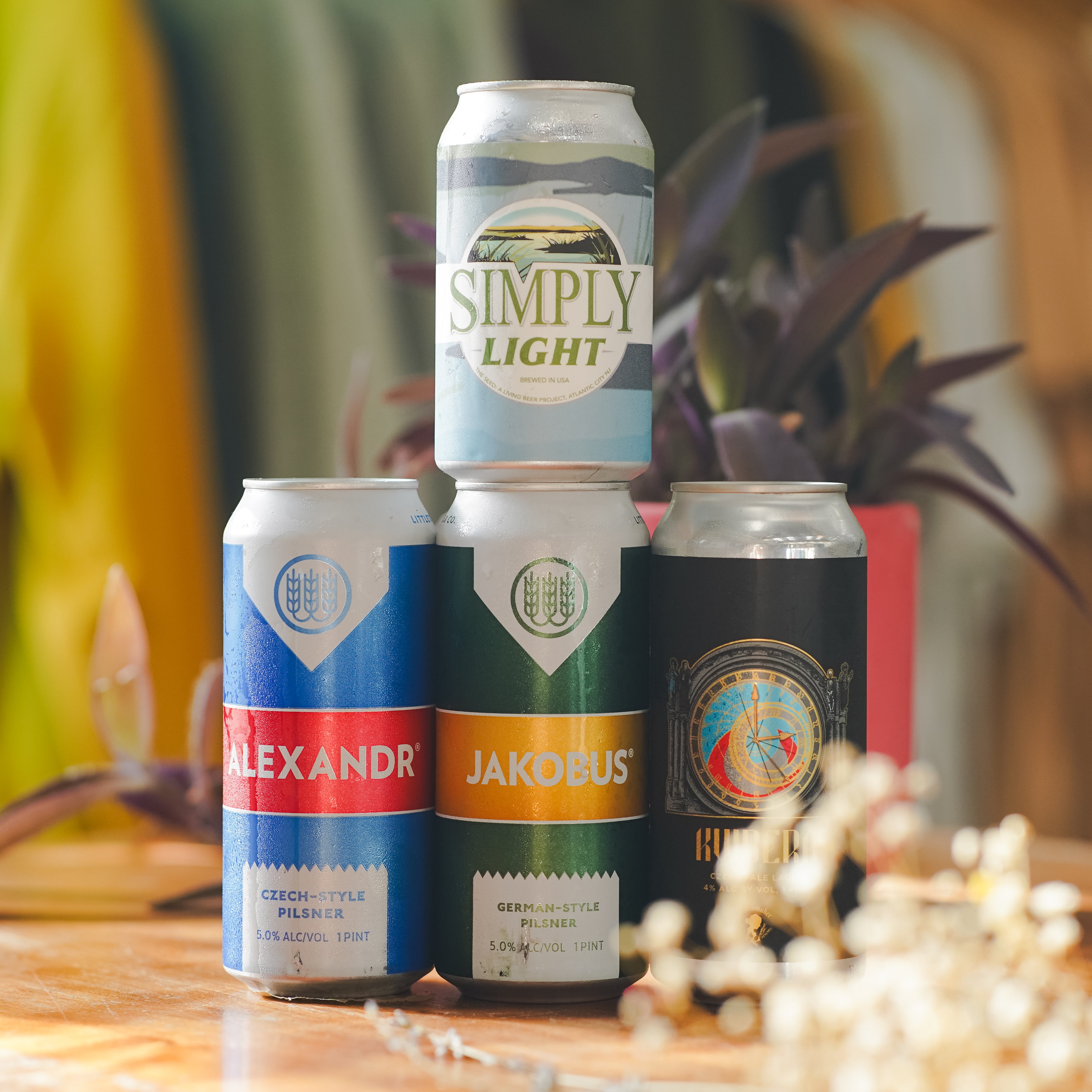 WTTN Lager Mixed 4-pack - Option 1