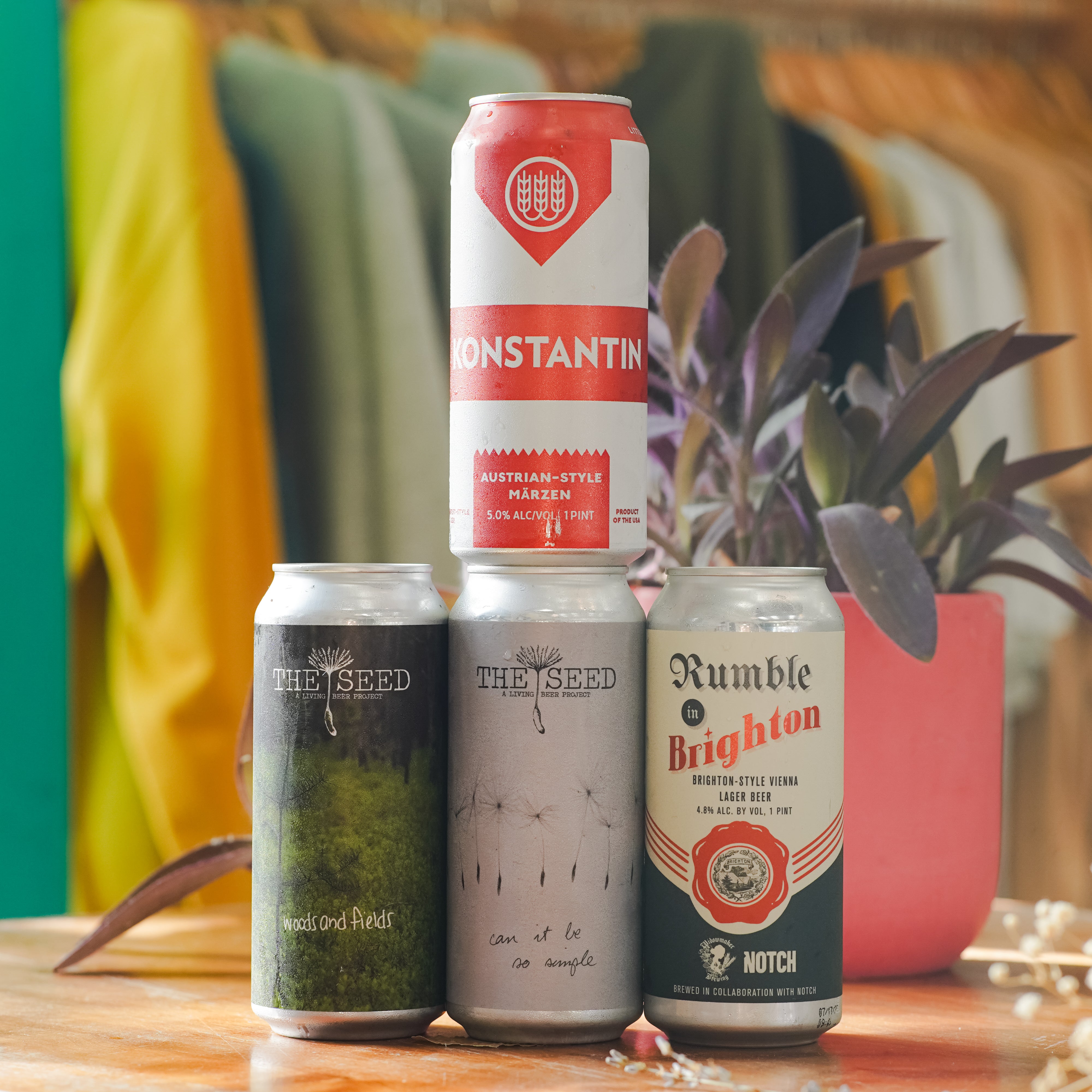 WTTN Lager Mixed 4-pack - Option 2