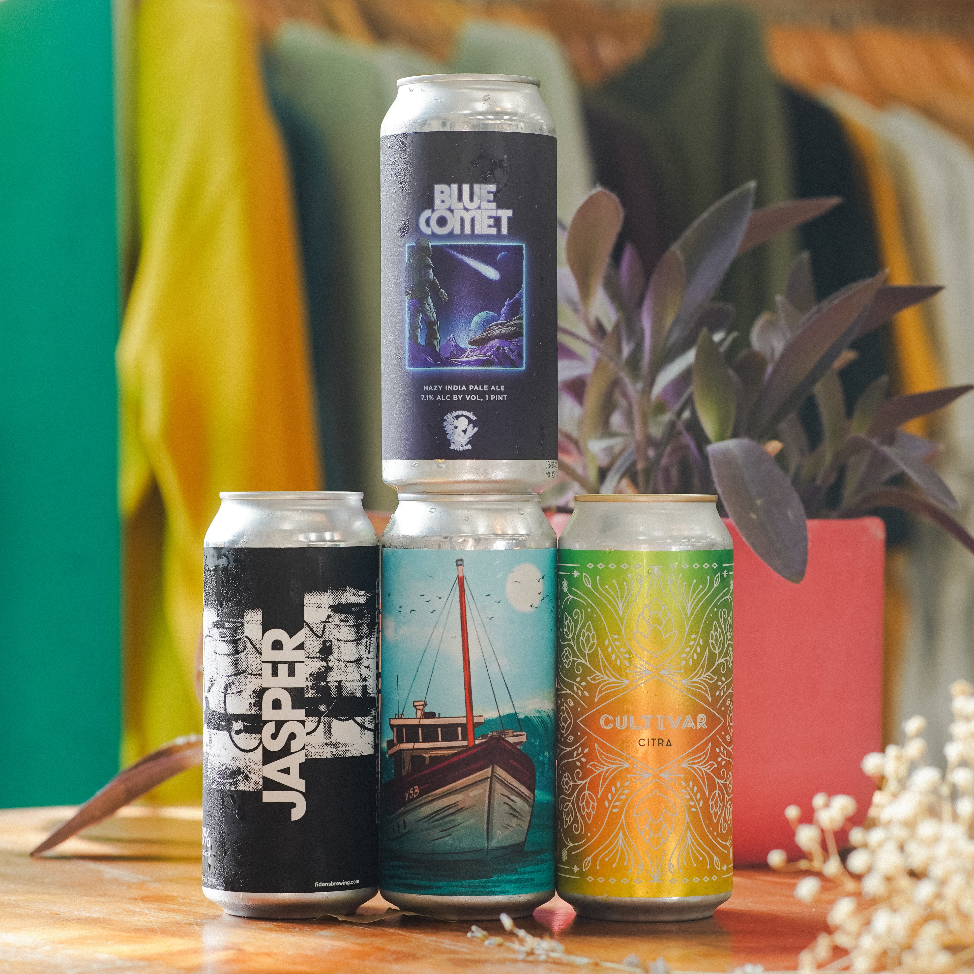 WTTN Haze Mixed 4-Pack - Option 1