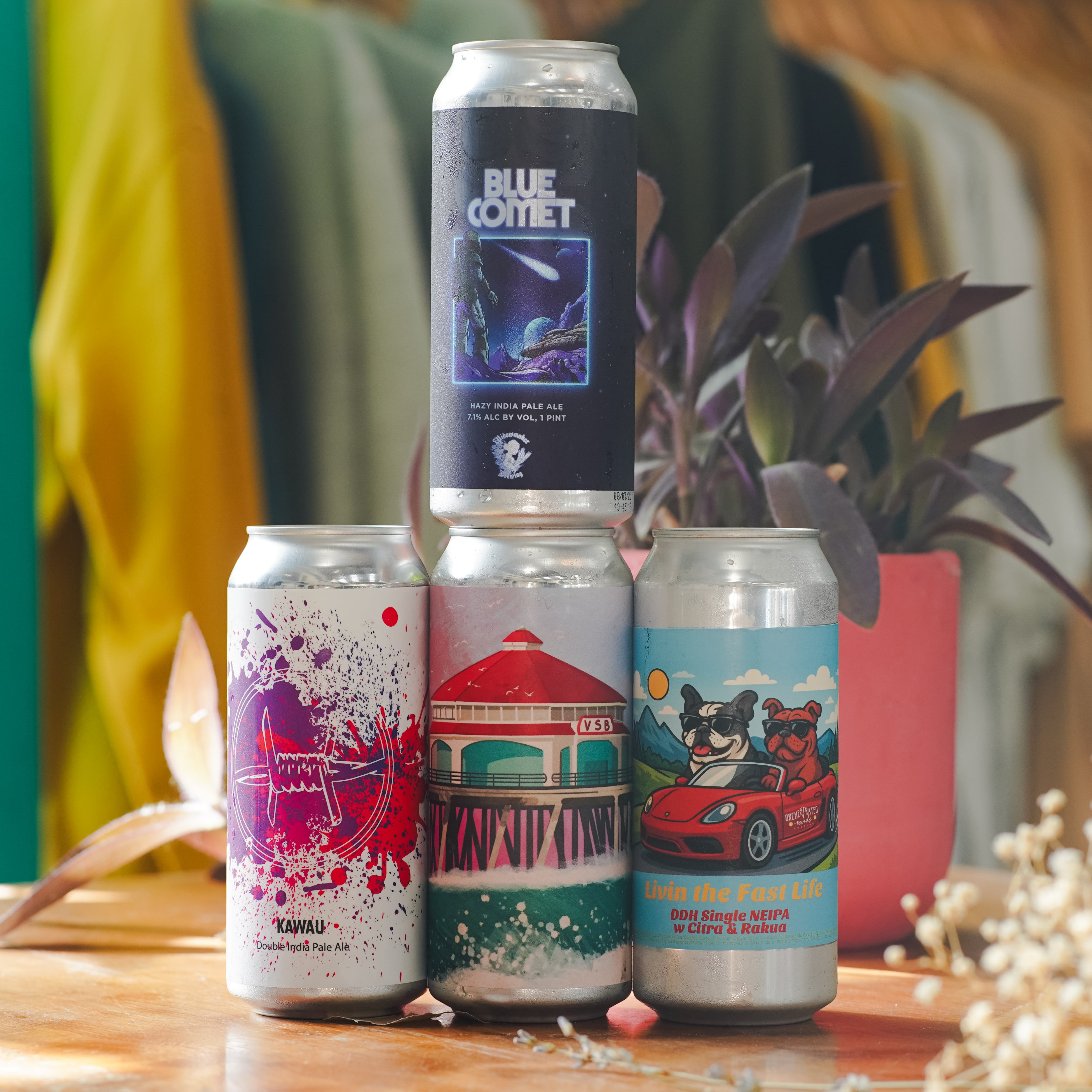 WTTN Haze Mixed 4-Pack - Option 3