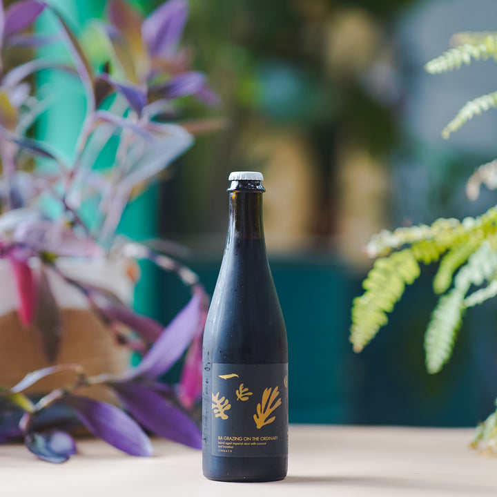 Finback | Grazing On The Ordinary 2023 | BA Imperial Stout w/ Coconut, Vanilla & Hazelnut | 11.8% | 500ml