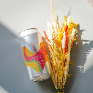 Memory Echoes | DDH IPA | 7.0% | 4-Pack