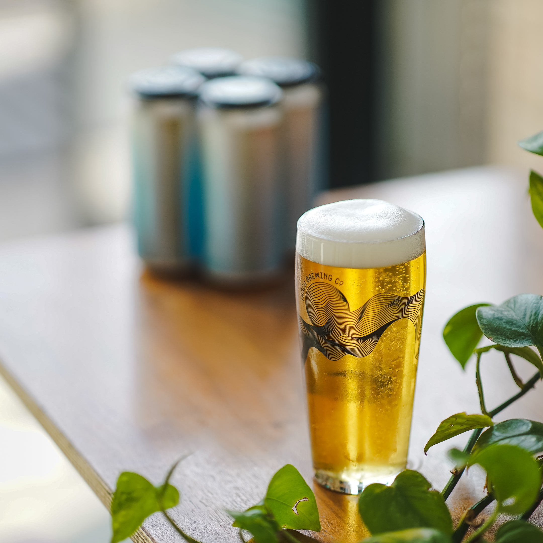 Arosa | Helles | 5.2%