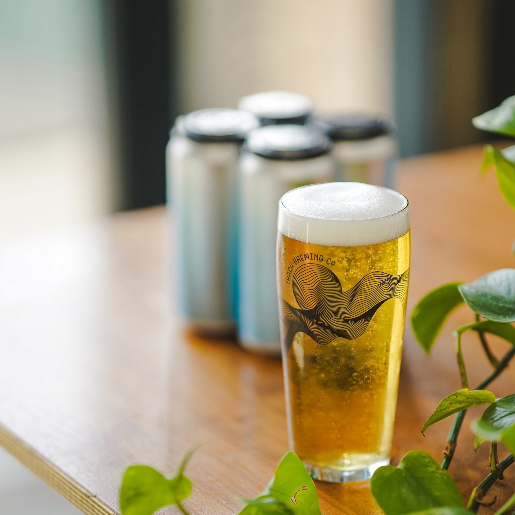 Ultimate Lager Mixed 6 - Pack - Track Brewing Company Limited