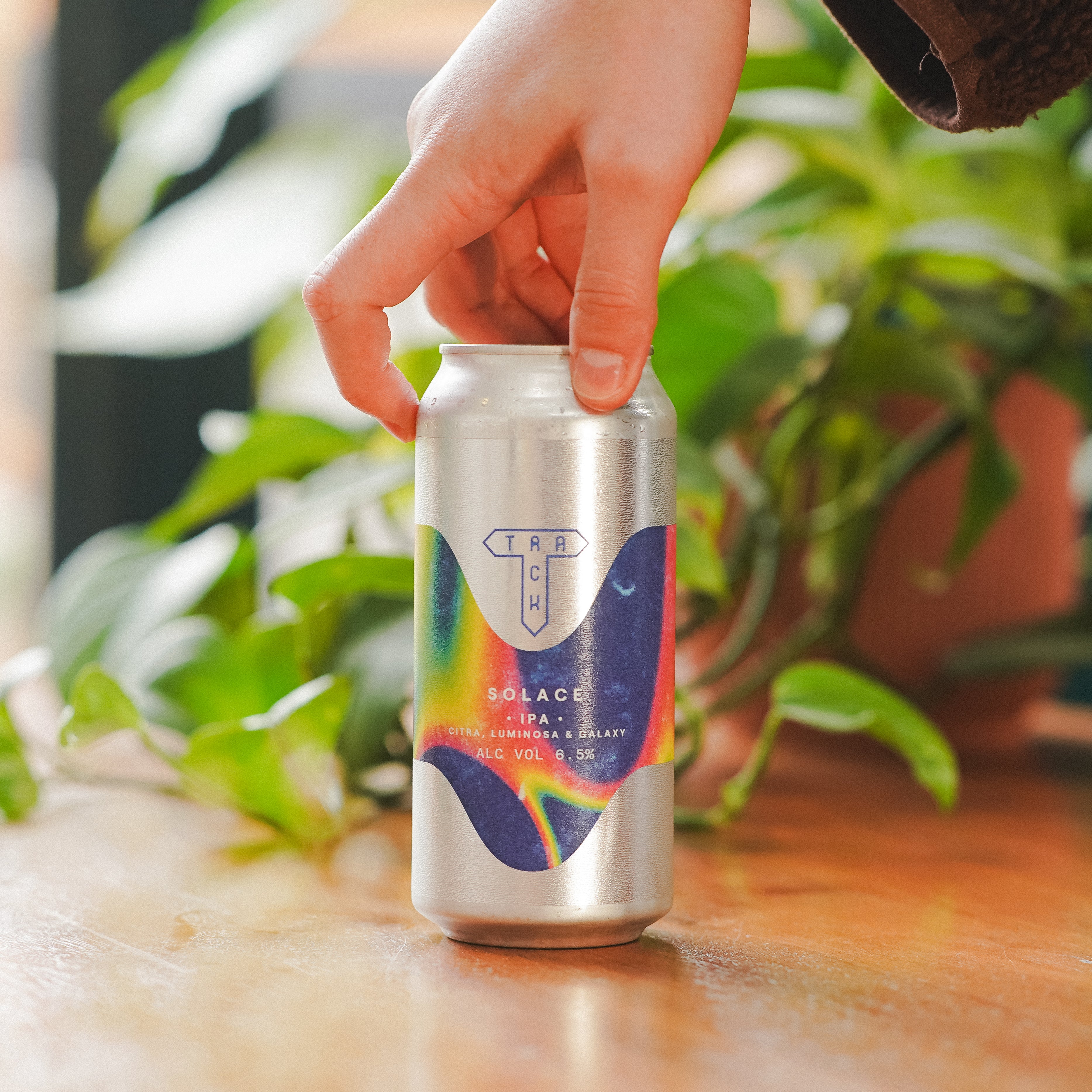 Solace | IPA w/ Citra, Luminosa & Galaxy | 6.5%