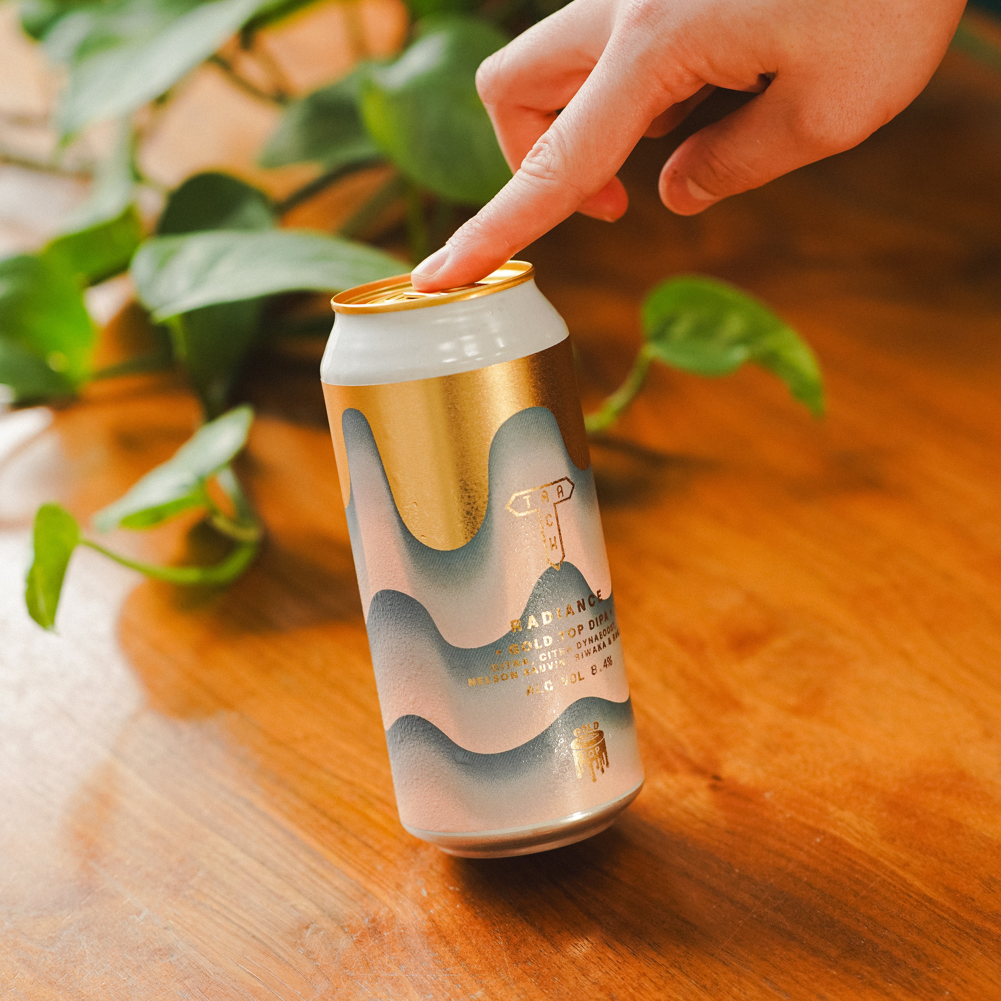 Radiance | Gold Top DIPA w/ Citra, Citra Dynaboost, Nelson Sauvin, Riwaka & Rakau | 8.4%
