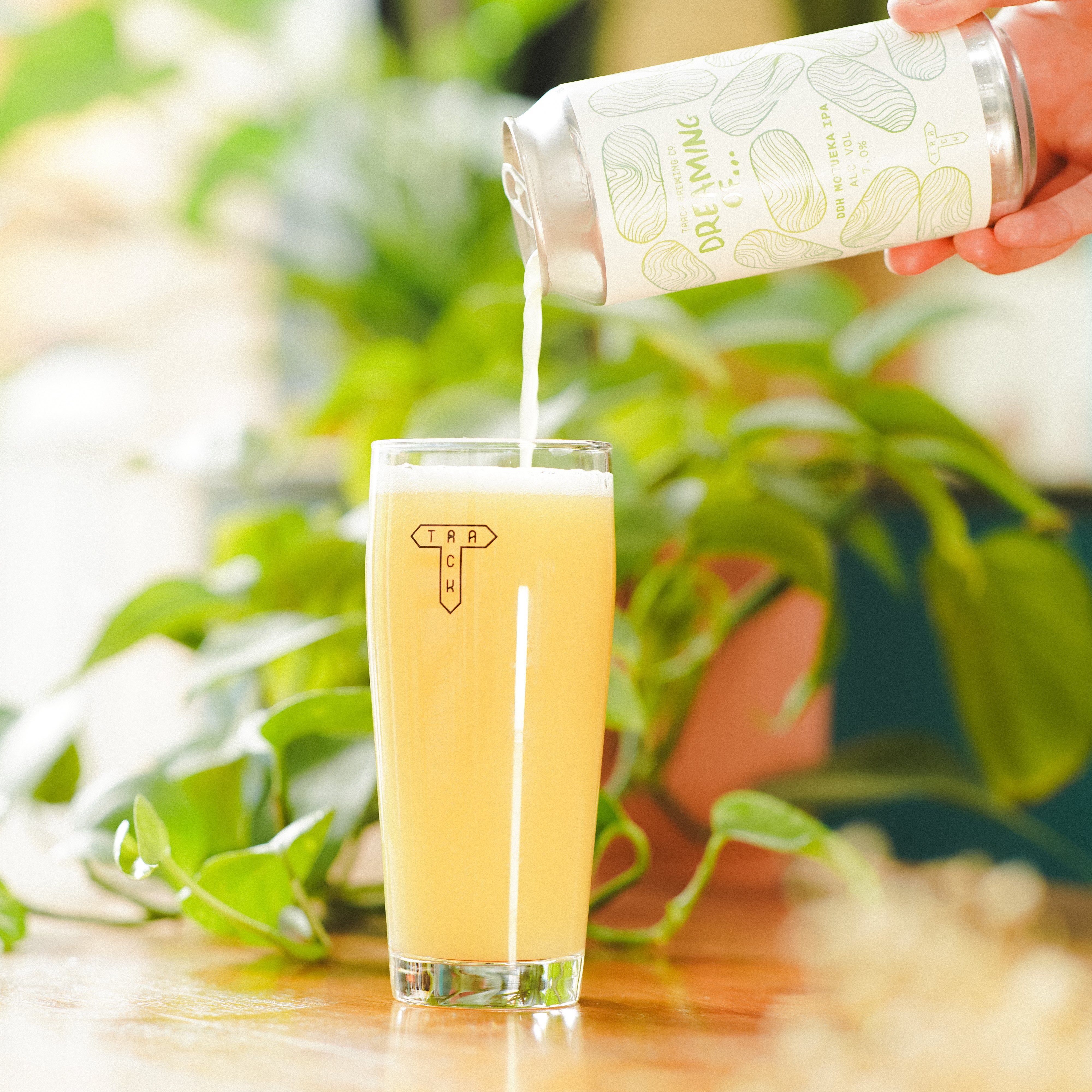 Dreaming Of... DDH Motueka | DDH IPA | 7%