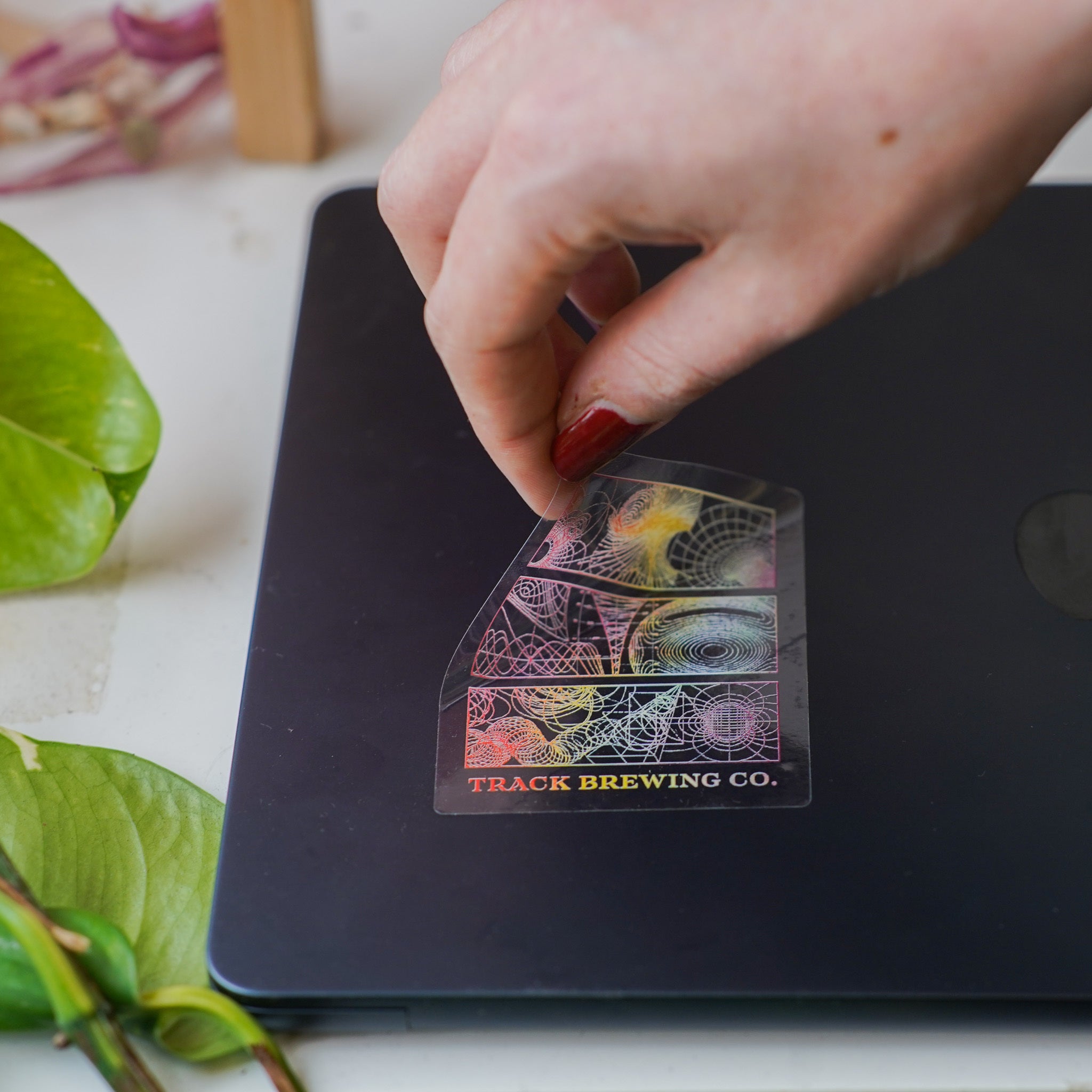 FORMS - 11th Birthday Sticker Multipack - Track Brewing Company Limited