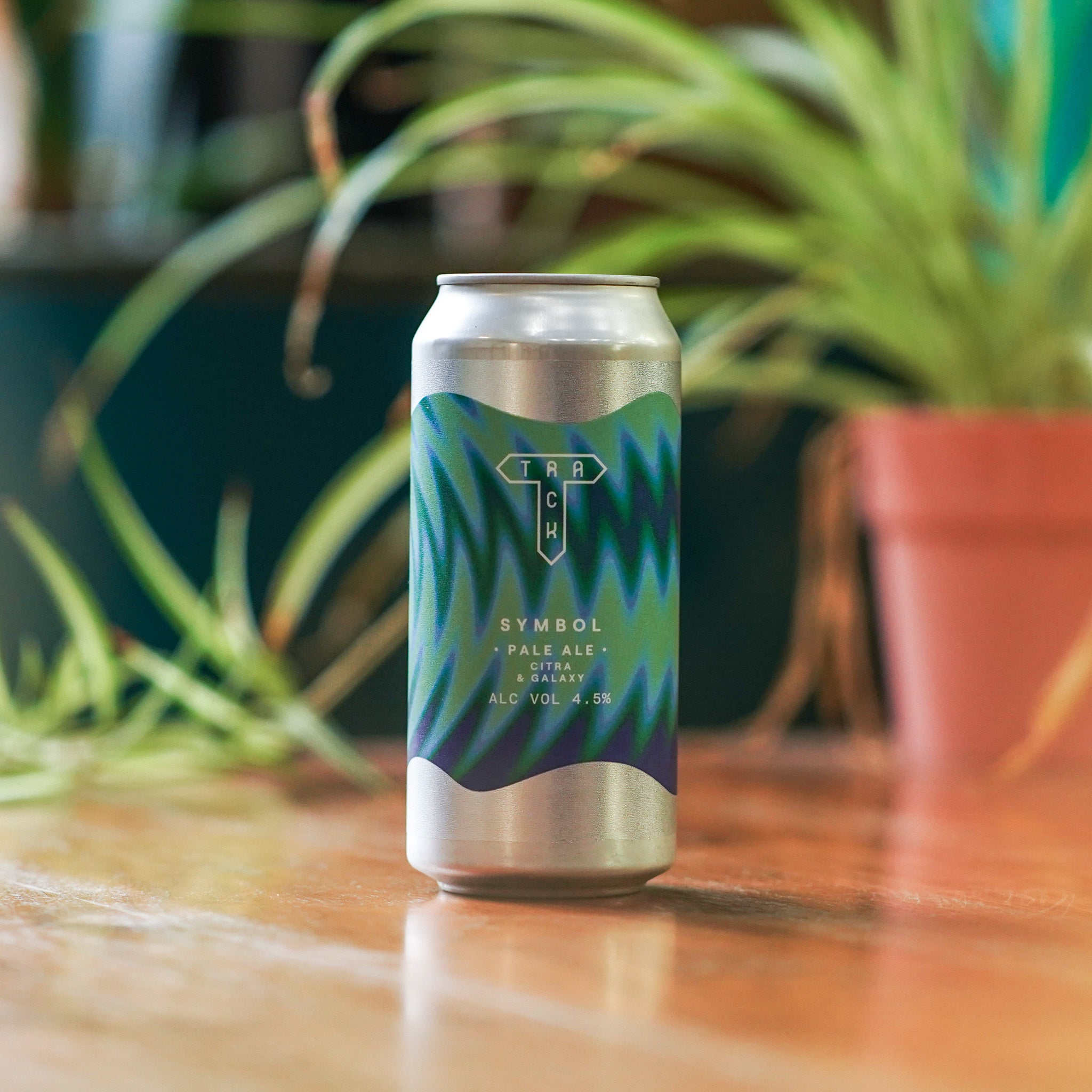 Ultimate Pale Ales Mixed 6 - Pack - Track Brewing Company Limited