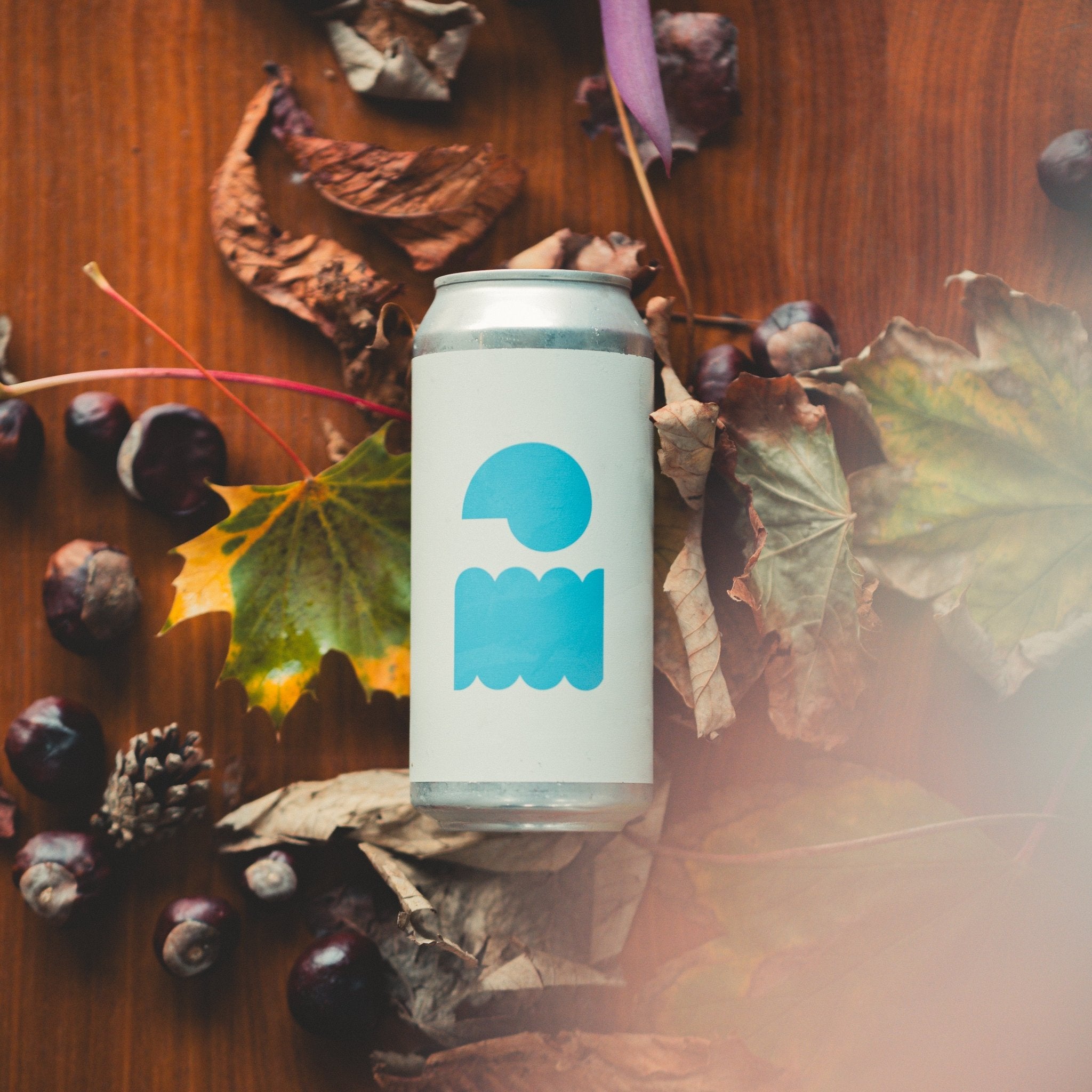 *Black Friday Deal* Spezial | Festbier | 5.7% | 6 - Pack - Track Brewing Company Limited
