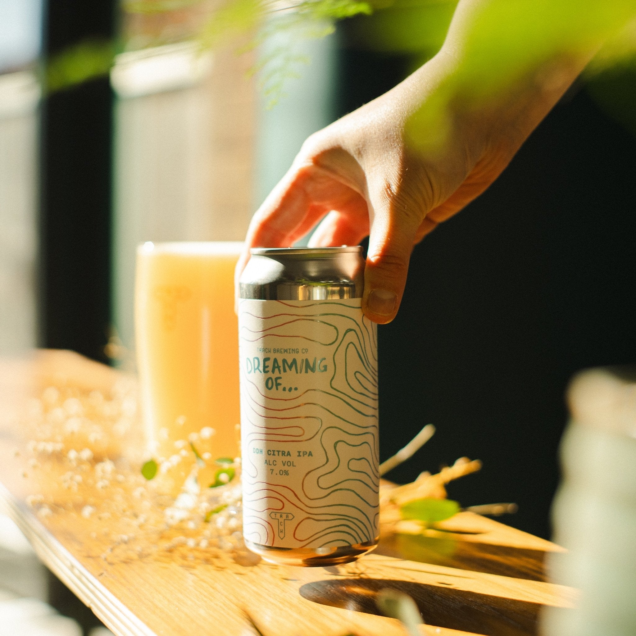 Dreaming Of...Citra | DDH IPA | 7.0% - Track Brewing Company Limited