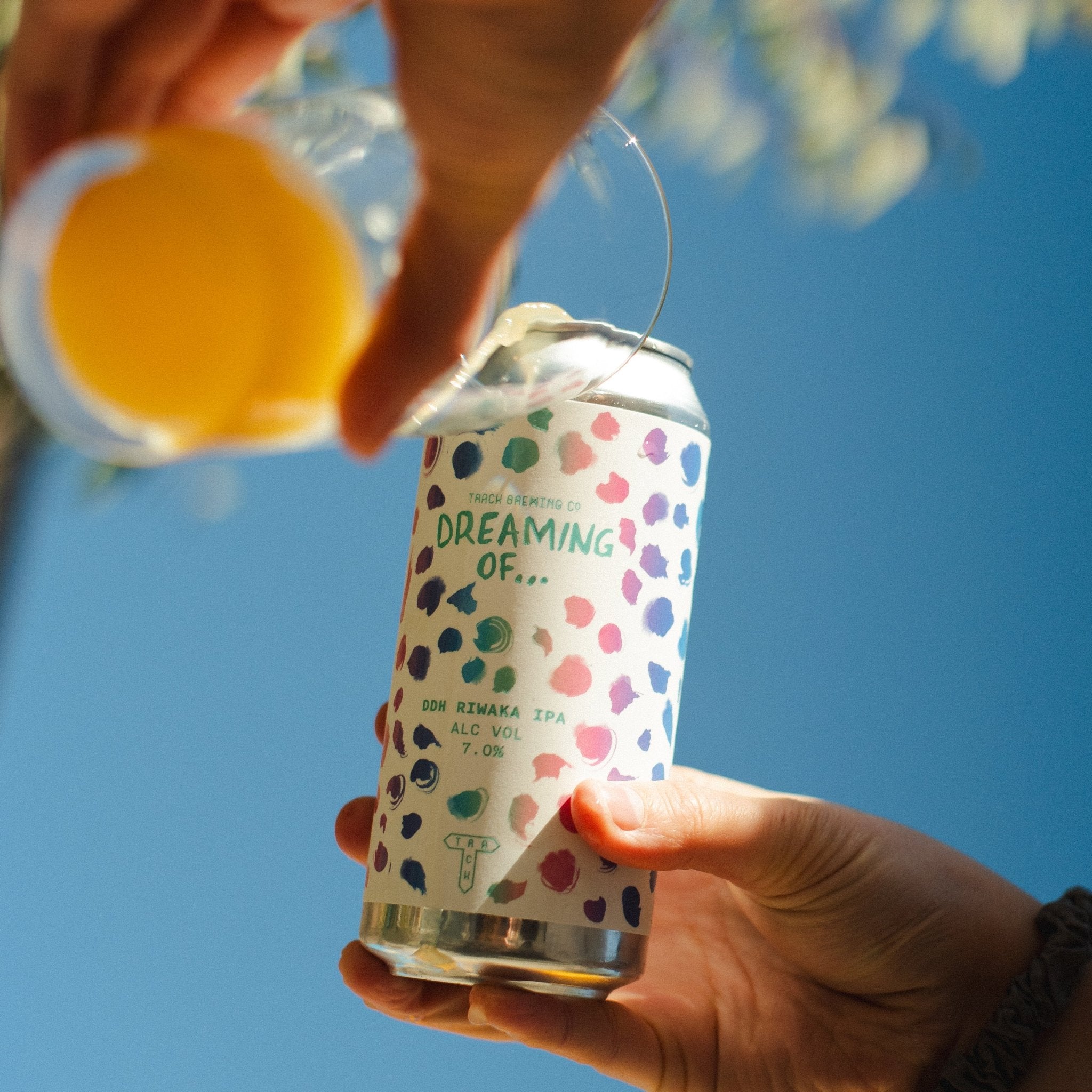 Dreaming Of... DDH Riwaka | DDH IPA | 7.0% - Track Brewing Company Limited