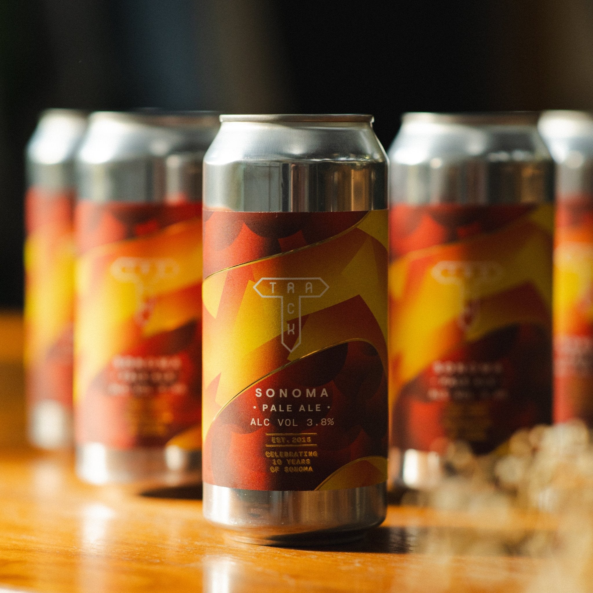 Intro To Track Mixed 6 - Pack - Track Brewing Company Limited