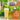 Welcome To The Neighbourhood Mixed 8-Pack (WTTN #1, #2, #3 & #4)