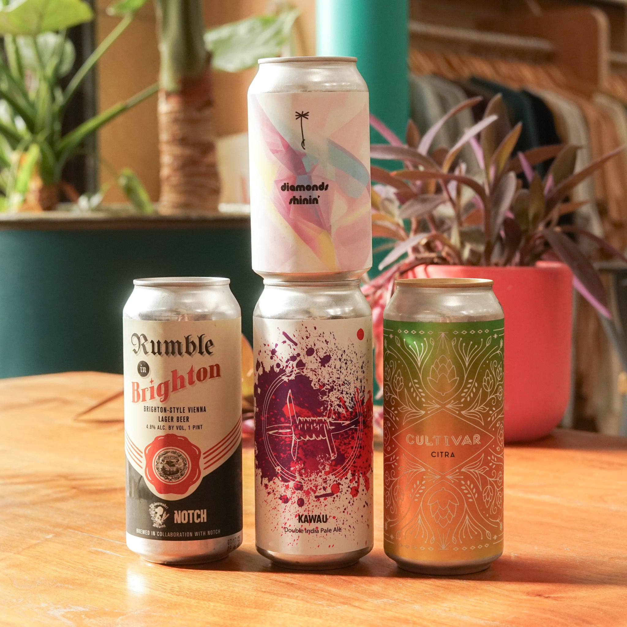 WTTN Variety Mixed 4-Pack - Option 2