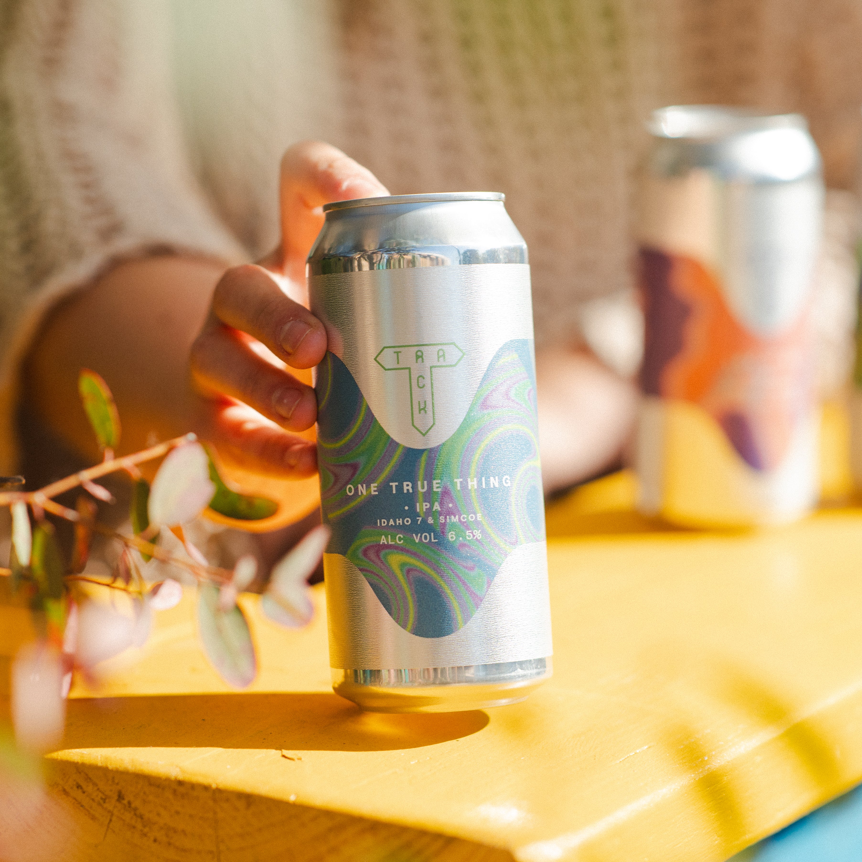One True Thing | IPA w/ Idaho 7 & Simcoe | 6.5%