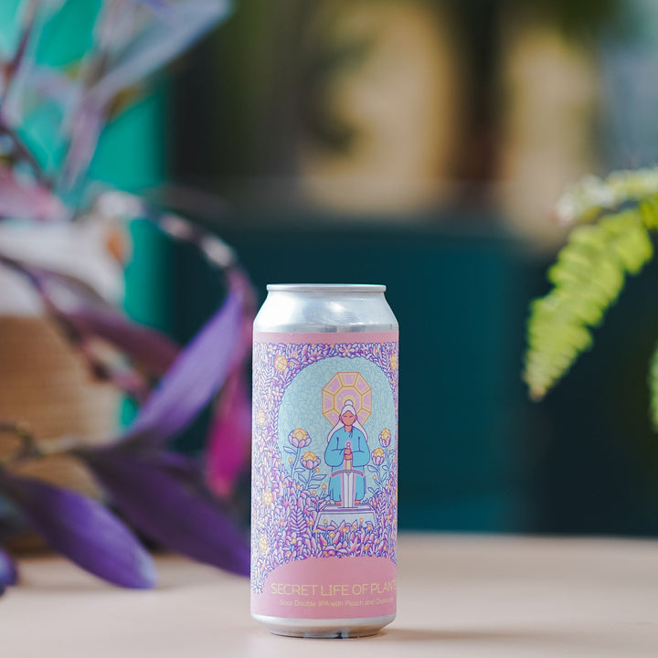 Hudson Valley | The Secret Life Of Plants | Sour DIPA | 8.0%