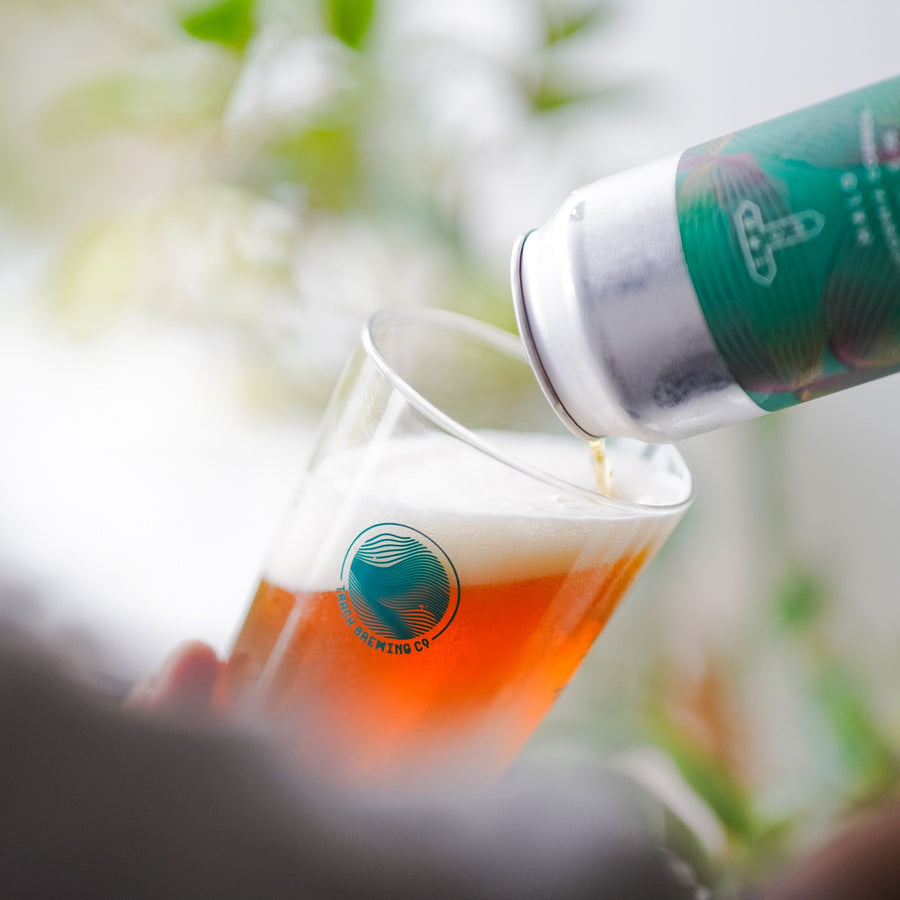 Halo | California Common | 5.0% | 12-Pack