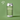 Pikimai | IPA w/ CY2026 Nelson Sauvin (Pikimai Hops) | 6.5% - Track Brewing Company Limited