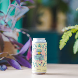 Hudson Valley | Soleil | Sour IPA | 6.0%
