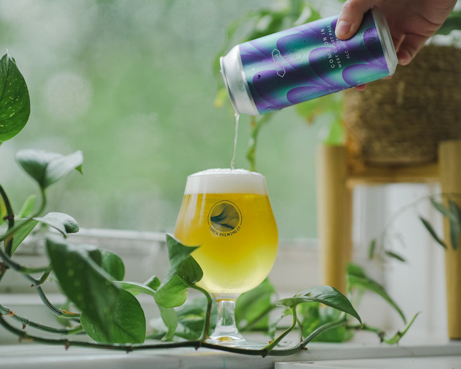 Come On In | West Coast Pale Ale | 5.0% | 24-Pack - Track Brewing Company Limited