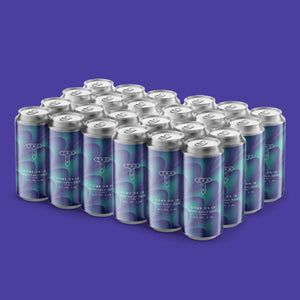 Come On In | West Coast Pale Ale | 5.0% | 24-Pack - Track Brewing Company Limited