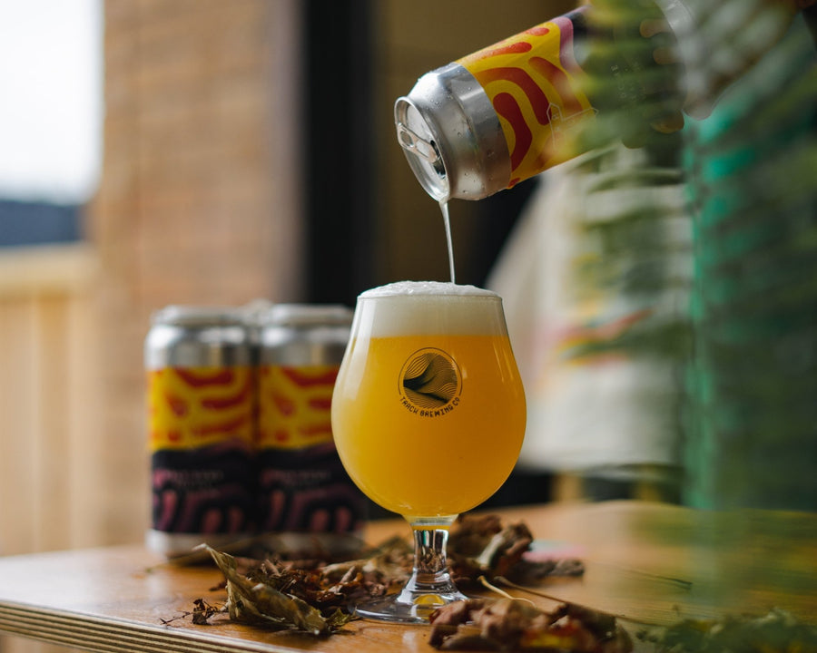 Half Dome | Pale Ale | 5.3% | 24-Pack **Special Full Case Offer** - Track Brewing Company Limited