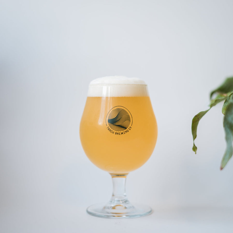 Track Wave Glass - Track Brewing Company Limited