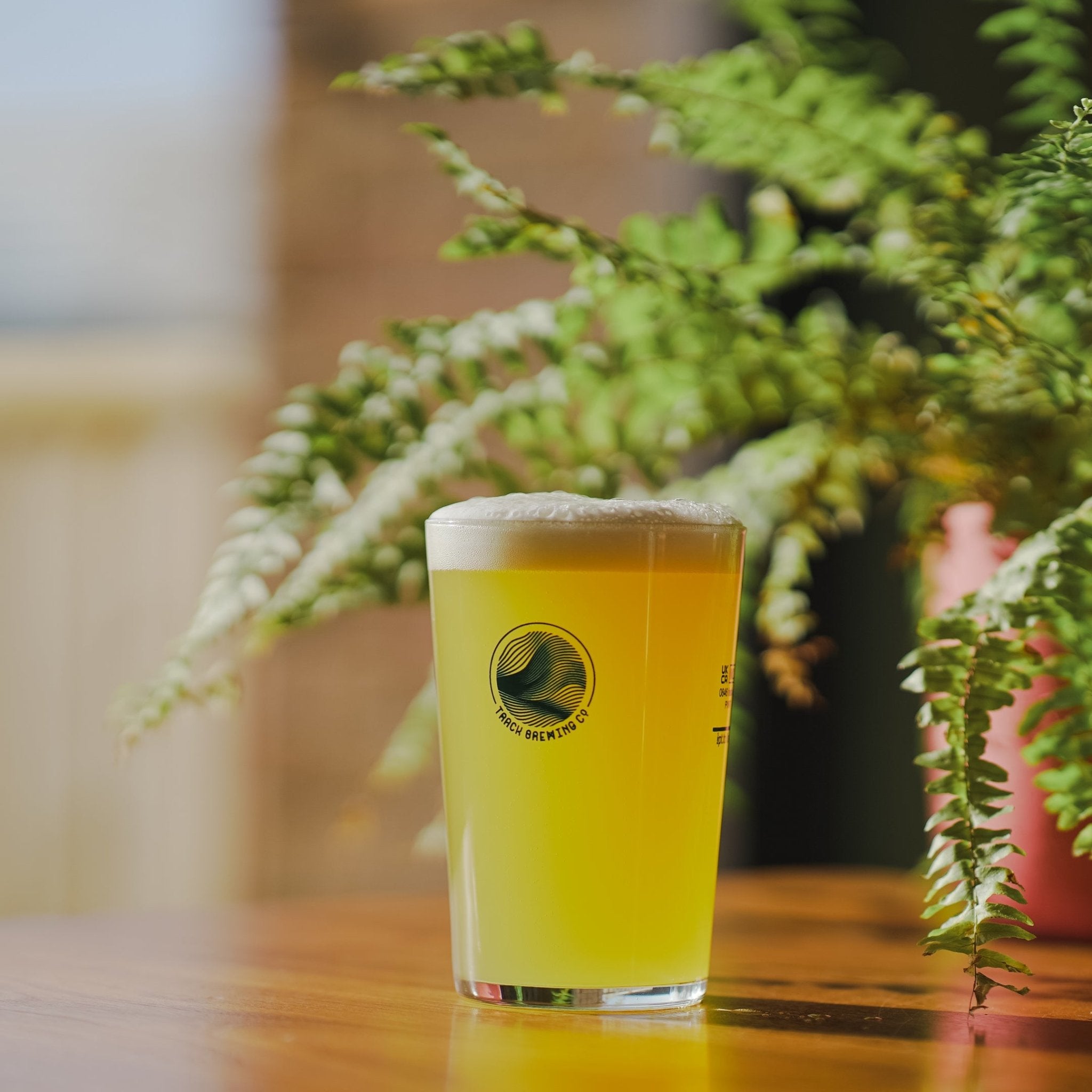 Wave Tumbler Pint Glass Track Brewing Company Limited